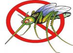 Dịch vụ phun thuốc muỗi giá rẻ ở đâu uy tín nhất 2020?