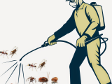 Công ty diệt côn trùng - dịch vụ Diệt Muỗi, Ruồi, Kiến, Gián, côn trùng tốt nhất hiện nay